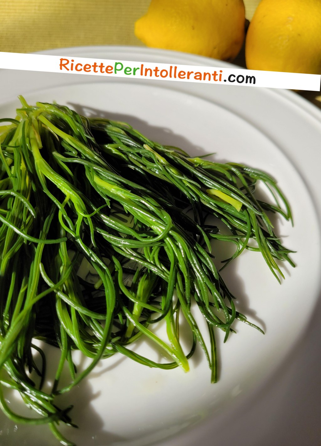 ricette per intolleranti